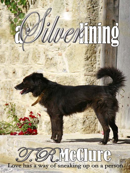 Title details for A Silver Lining by T. R. McClure - Available